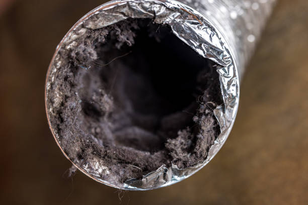 Best Ductwork Cleaning Services  in Killeen, TX